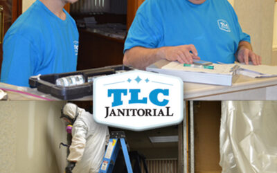 Mold Remediation
