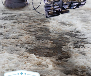 Protect Your Carpets